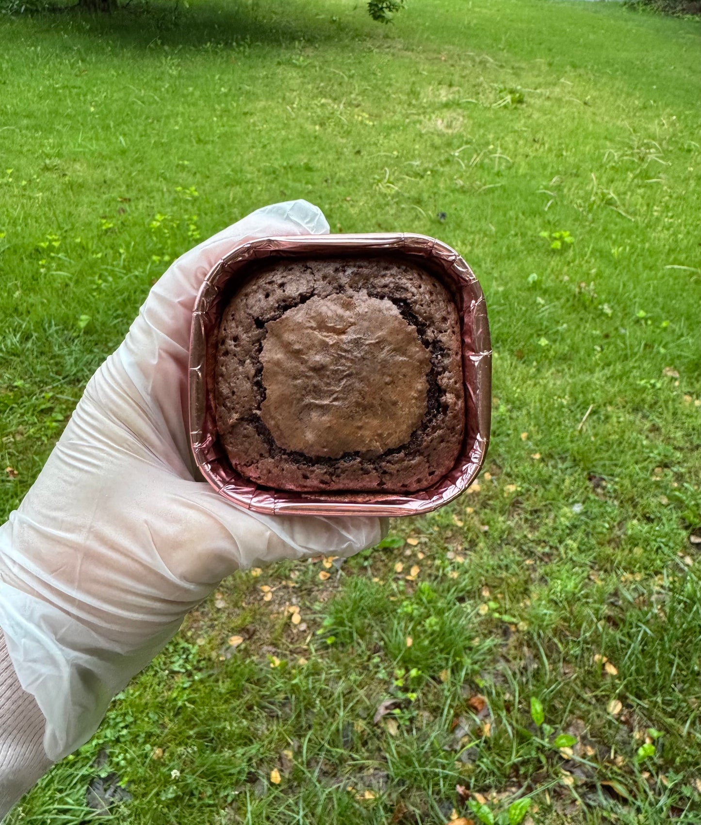 Fudge Lactation Brownies (DF)