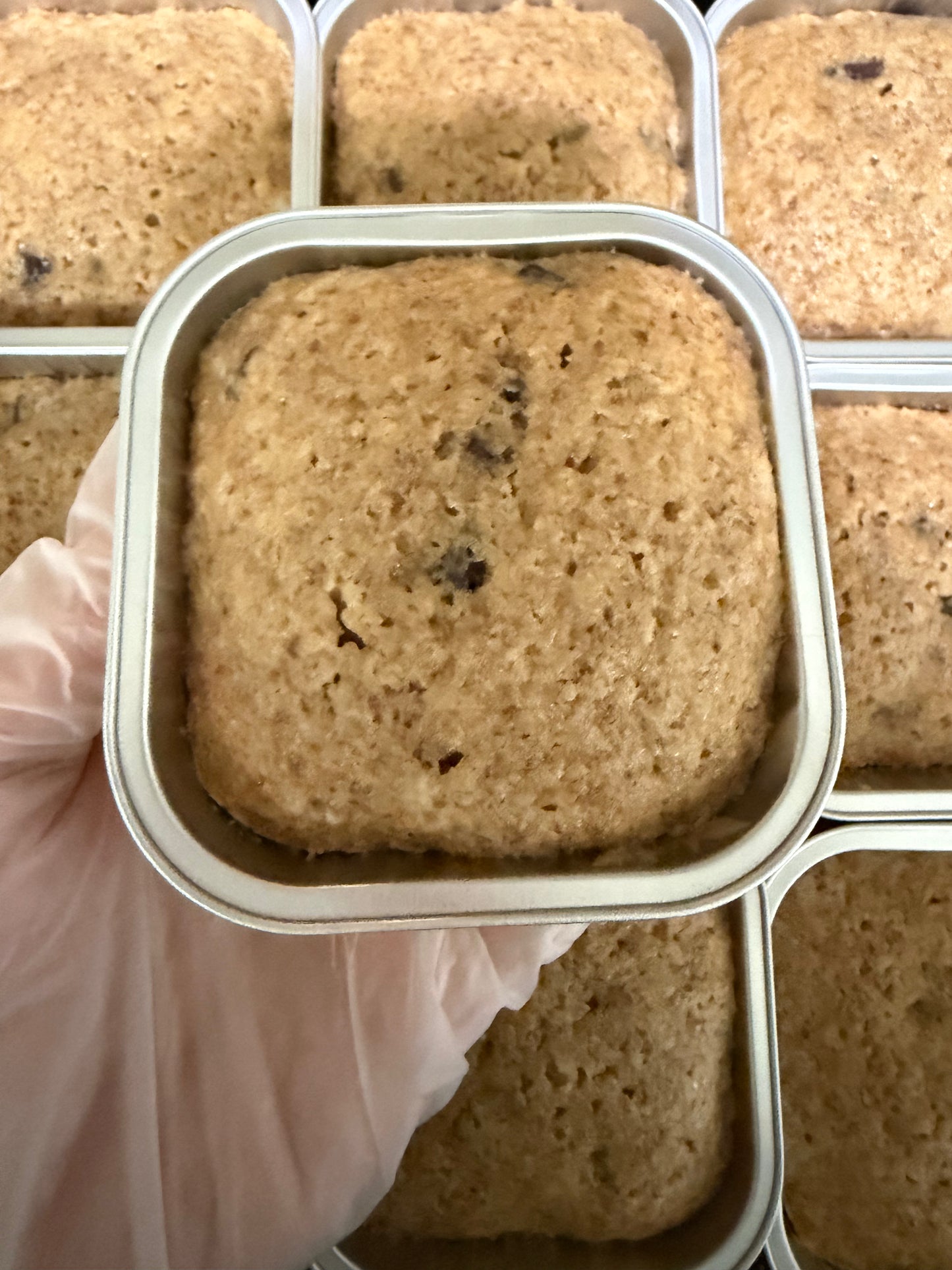 Chocolate Chip Lactation Blondies