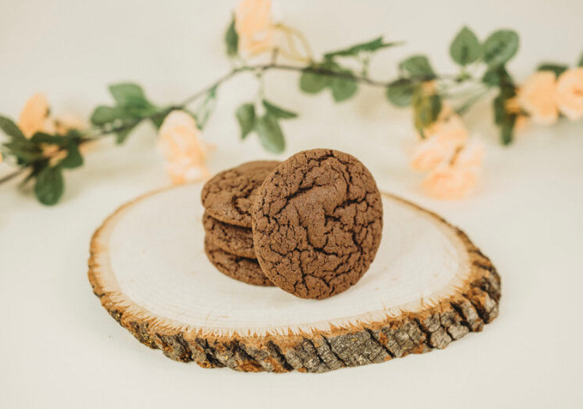 Chocolate Fudge Lactation Cookies (DF)